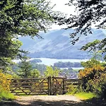 Pound Farm Lodges * Crook (Cumbria)